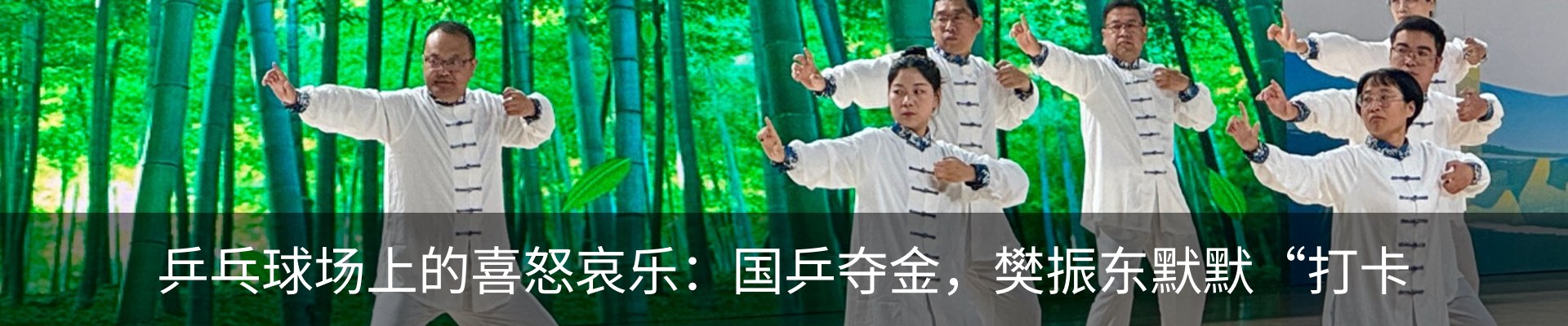 新闻动态