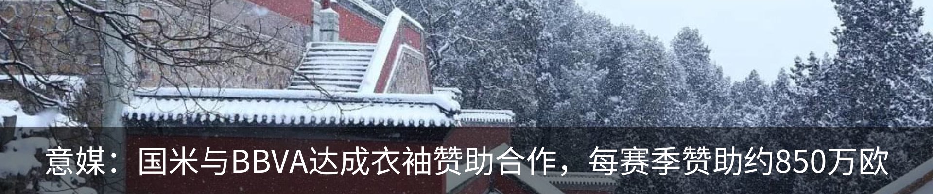 新闻动态