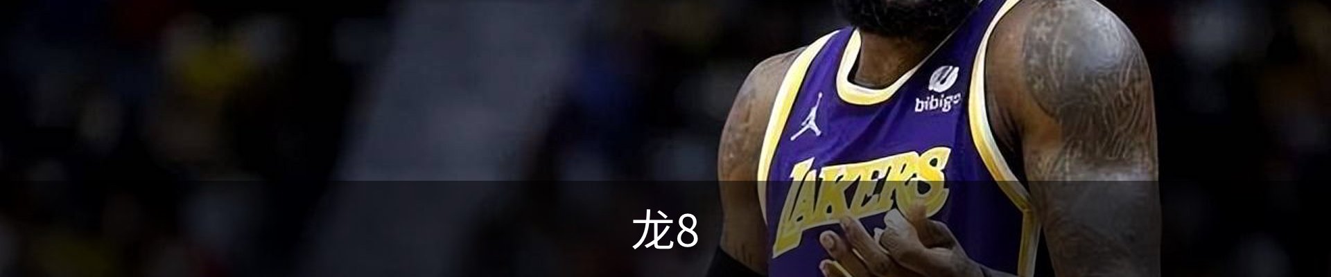 龙8